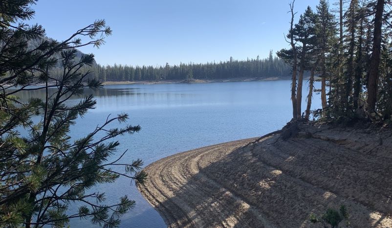 Mammoth Camp - Track & Field Fan Hub by AthleteBiz